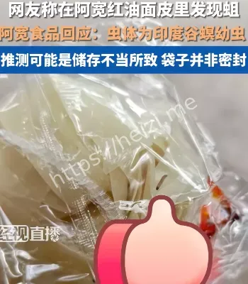 红油面皮里发现蛆